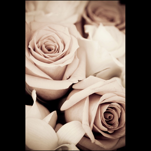  - Funky Flowers ...