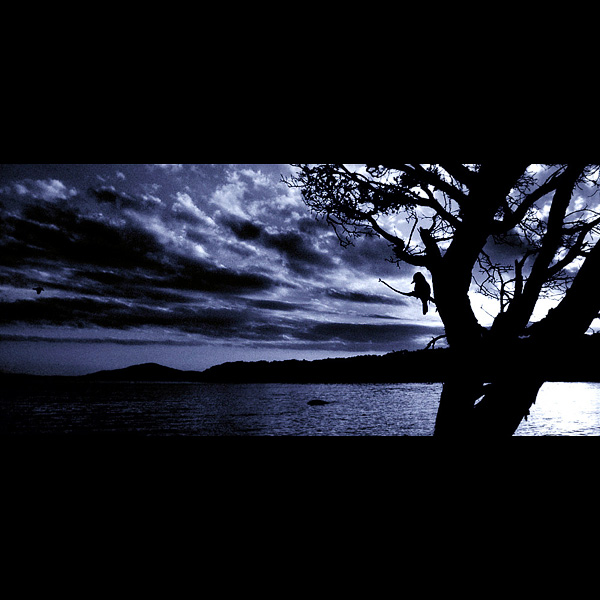  - Funky Silhouettes  ...