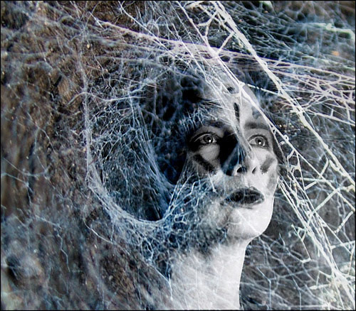 .Caught in the web. - Funky Manipulation...