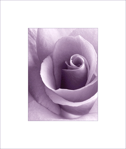  - Funky Flowers ...