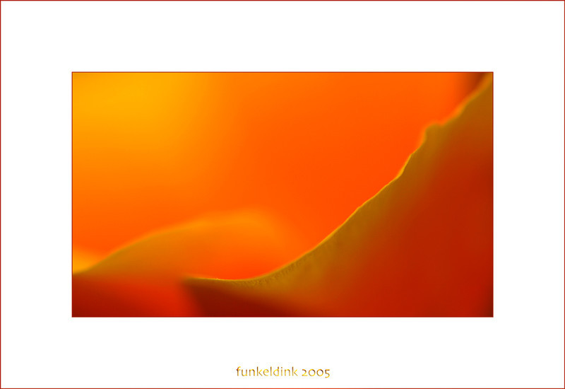  - FUNKELDINKS FAVOURITES