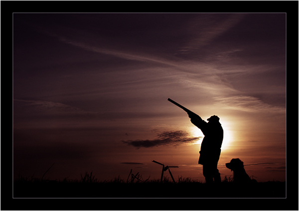  - Funky Silhouettes  ...
