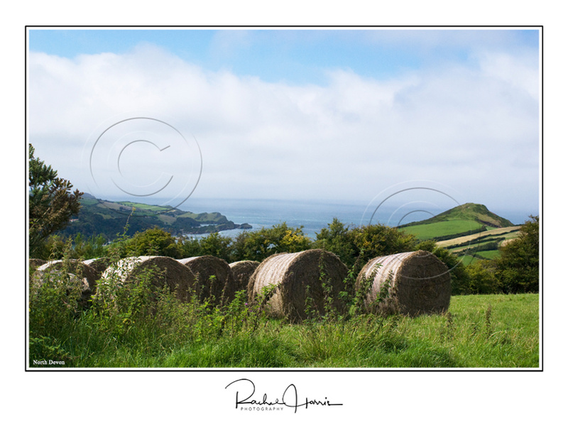 Haybales, Devon - Images (Landscape format)