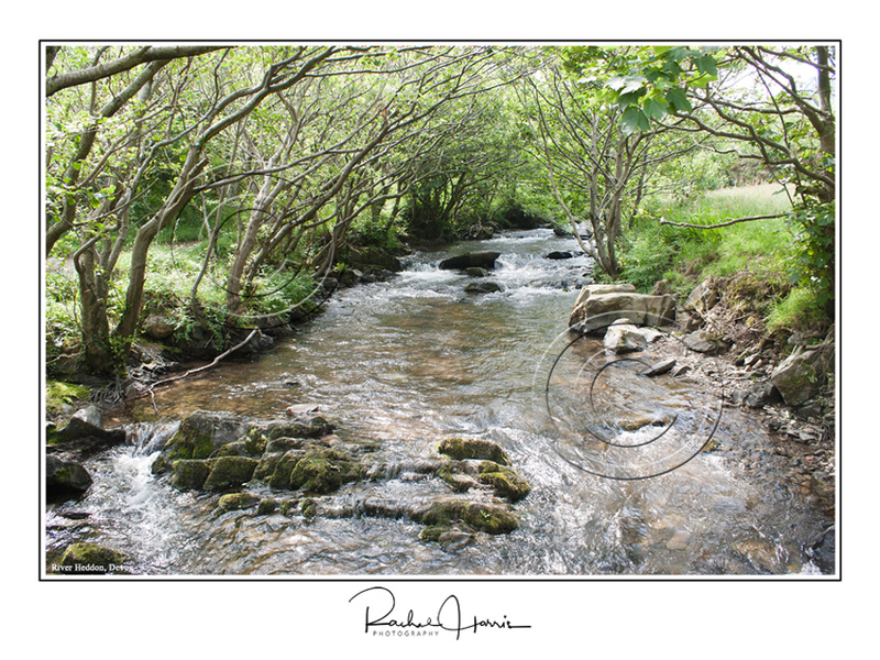 River Heddon, Devon - Images (Landscape format)