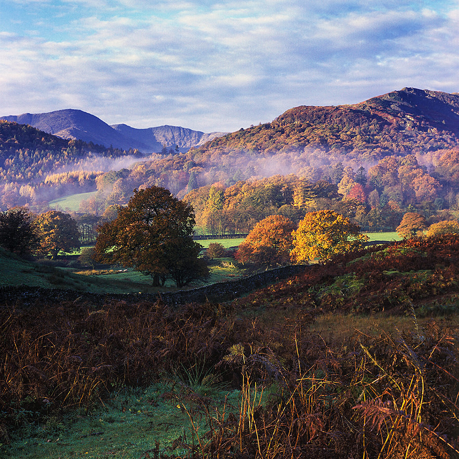  - Landscape