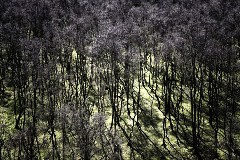  - Landscape