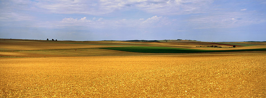  - Panorama
