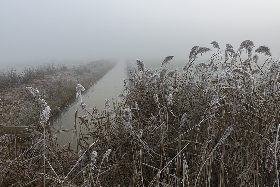  - Landscape