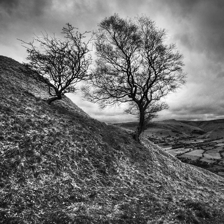  - Landscape