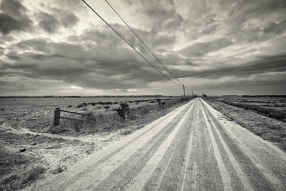  - Landscape