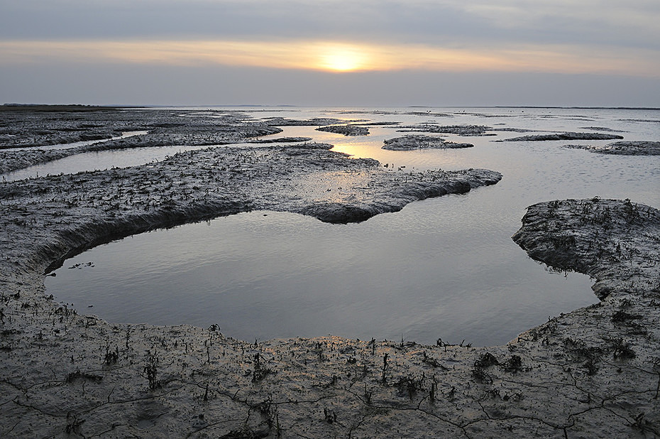  - Landscape