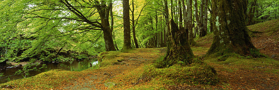  - Panorama