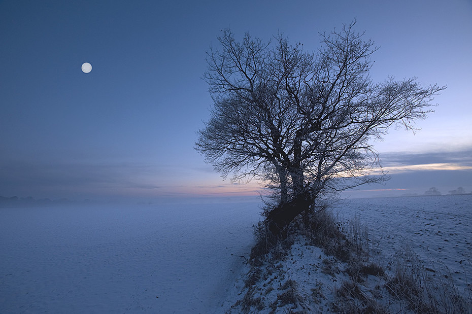  - Landscape
