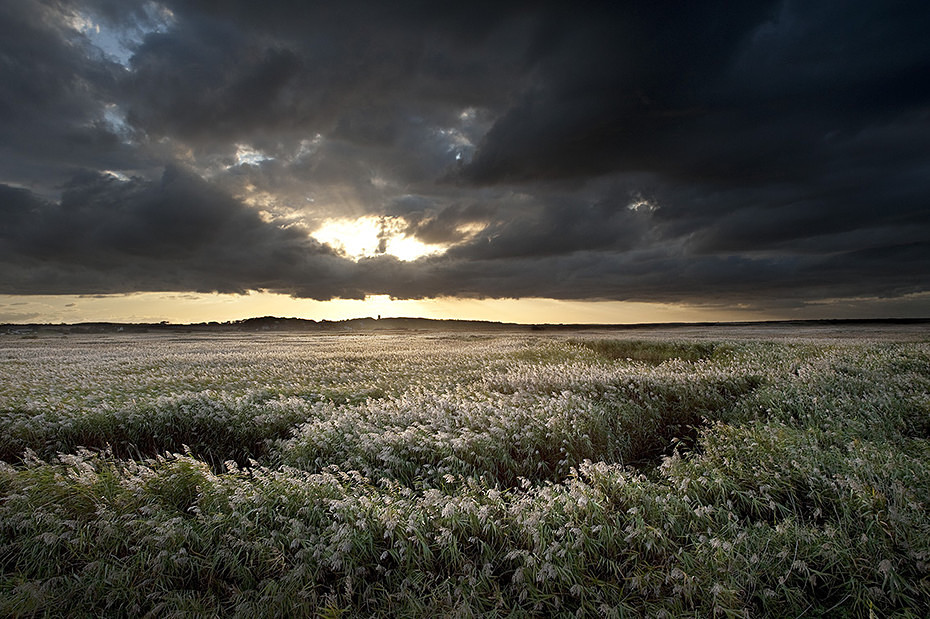  - Landscape