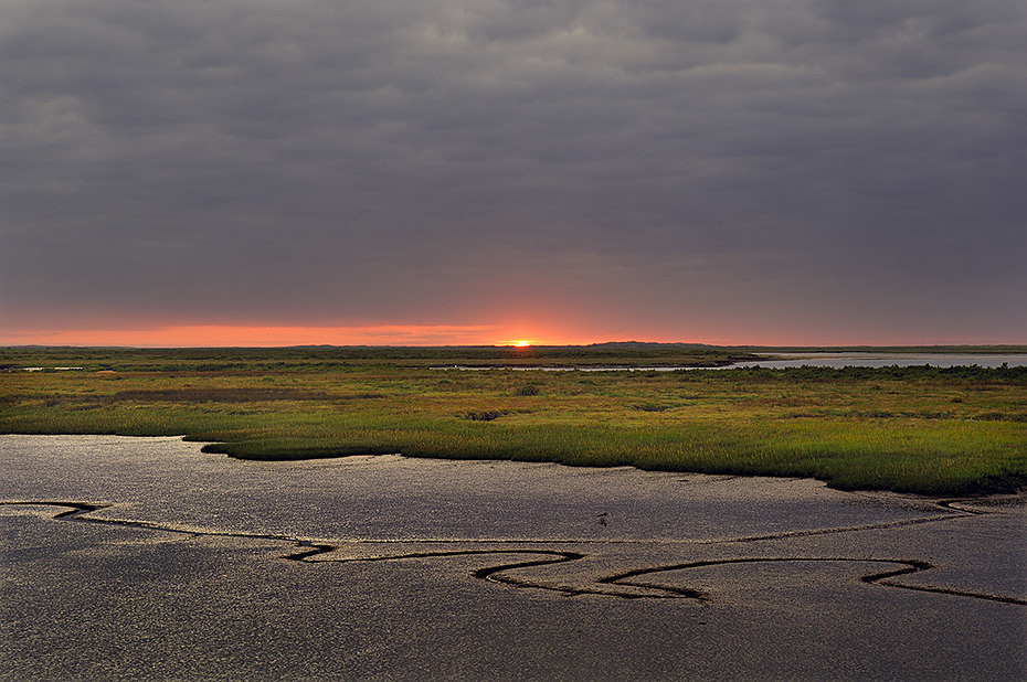  - Landscape