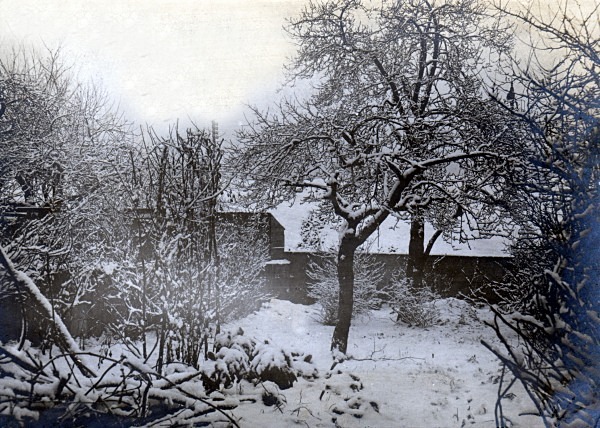 Garden 13 Victoria Buildings Bath 14 - Old Photos of Bath