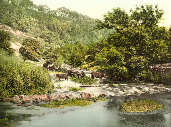 Peak District Millers Dale 29 - Old Photos of Peak District