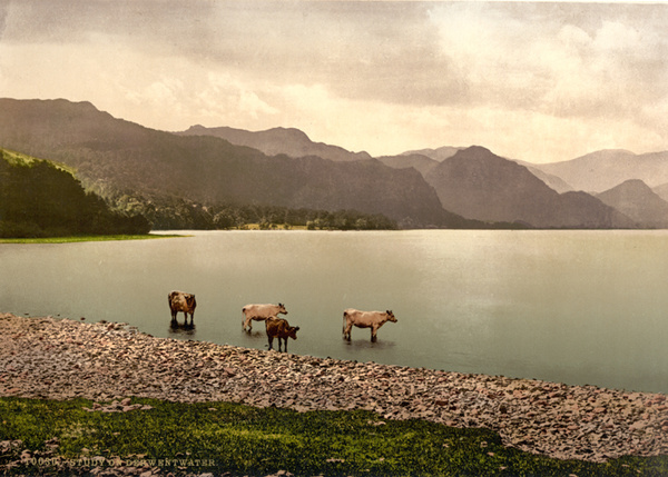 Lake District Derwentwater 21 - Old Photos of Lake District