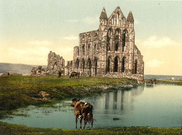Whitby Abbey 12 - Old Photos of Whitby