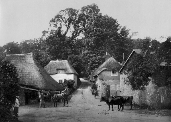 Torquay Cockington Forge 20 - Old Photos of Torquay