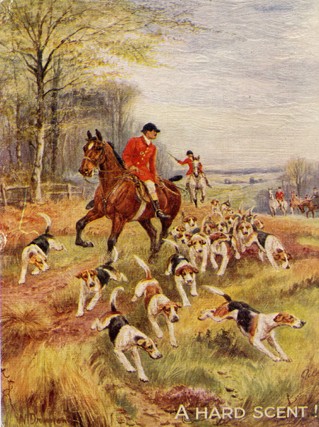 Countryside Foxhunting 5 - Old Countryside