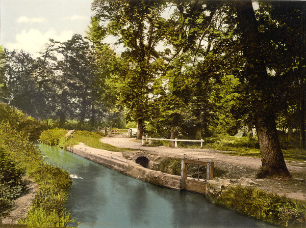Newton Abbot Bradley Woods 1 - Old Photos of Newton Abbot