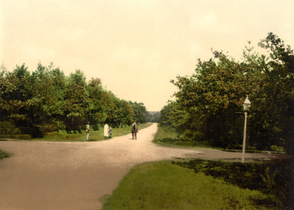 Camberley Bagshot Road 1 - Old Photos of Camberley