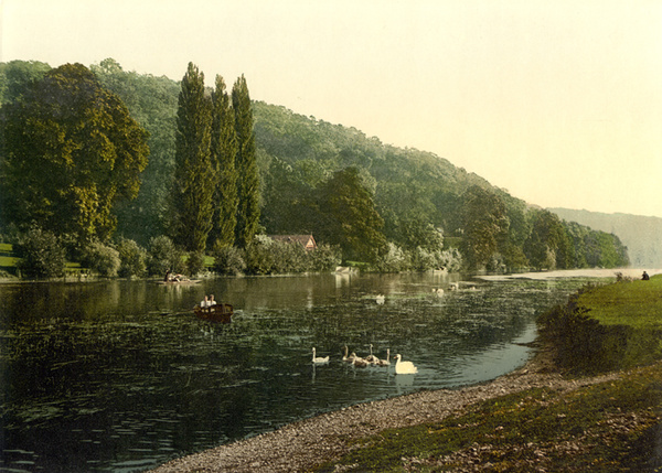 Cliveden Woods 1 - Old Photos of Cliveden