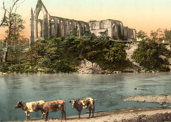 Skipton Bolton Abbey 1 - Old Photos of Skipton