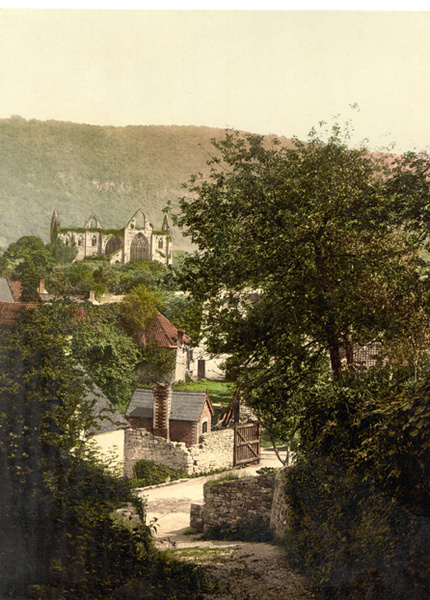 Tintern Abbey 16 - Old Photos of Monmouth