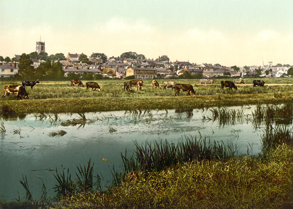 Dorchester 2 - Old Photos of Dorchester