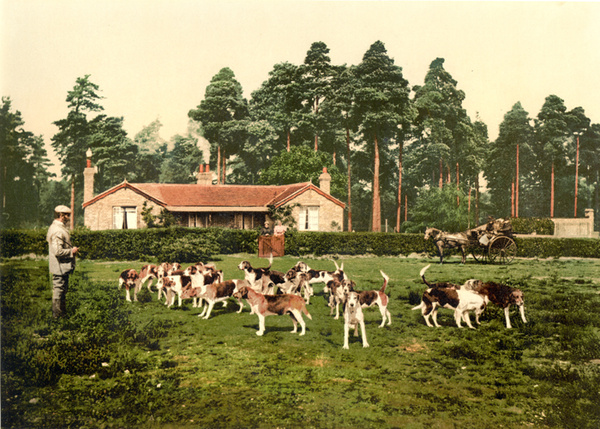 Camberley Royal Staff College  8 - Old Photos of Camberley