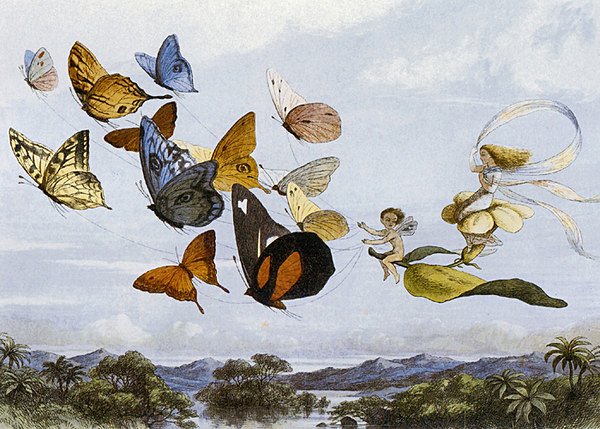 The Fairy Queen Takes An Airy Drive 27 - Fairies,Pixies,Elves