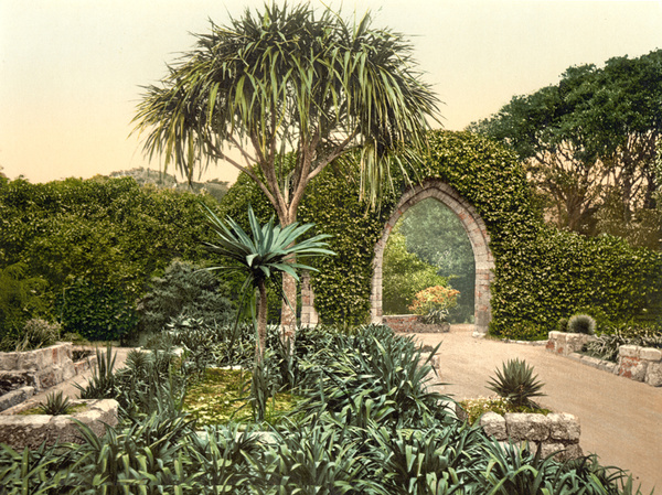 Scilly Isles Tresco 5 - Old Photos of Scilly Isles