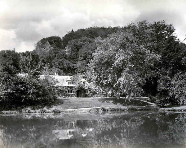 Tavistock Pond Cottage 7 - Old Photos of Tavistock