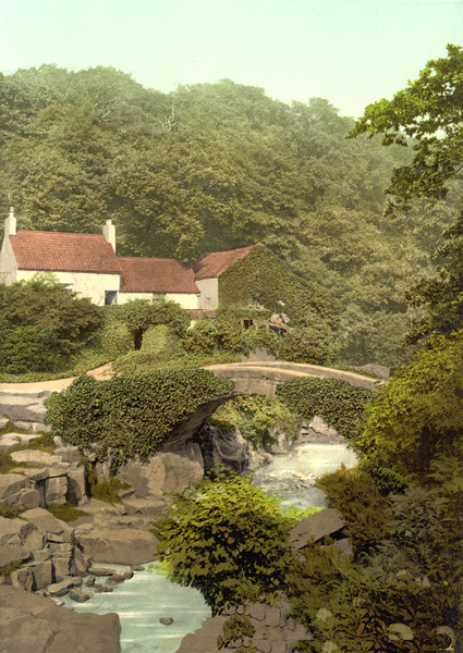 Newcastle Jesmond Dene 2 - Old Photos of Newcastle Upon Tyne