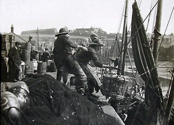 Whitby Hauling the Fish 17 - Old Photos of Whitby