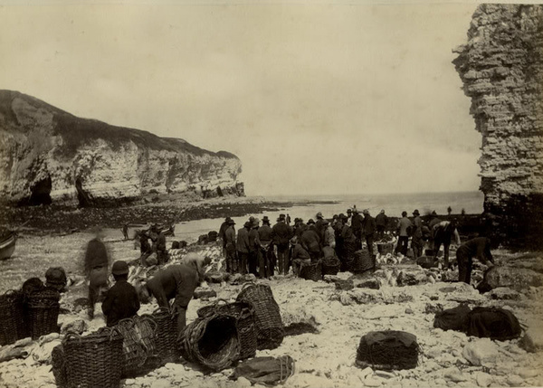 Flamborough Fish Market 6 - Old Photos of Flamborough