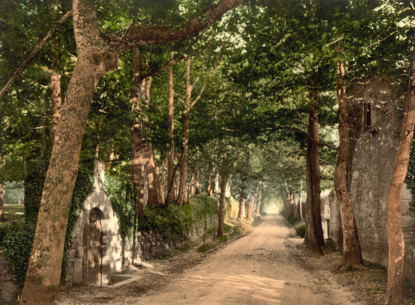 Jersey Vinchelez Lane 24 - Old Photos of Jersey