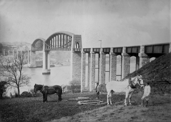 Saltash Ash Farm 11 - Old Photos of Saltash