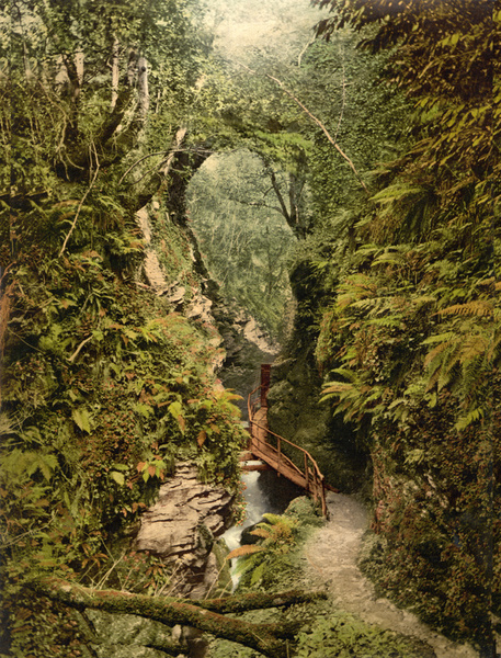 Dartmoor Lydford Gorge 2 - Old Photos of Dartmoor