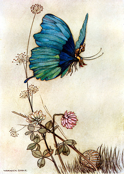 The Fairy Book 31 - Fairies,Pixies,Elves