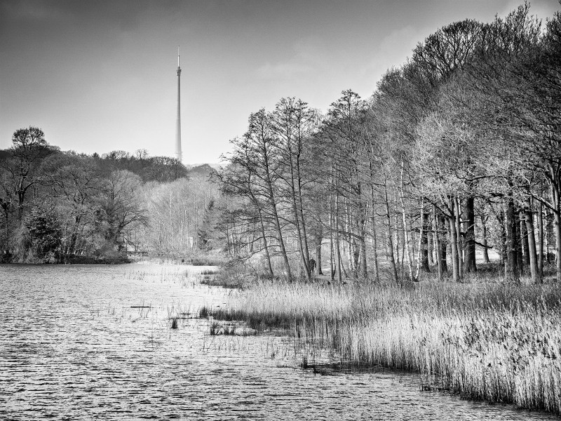  - New Photographic Walks 2017