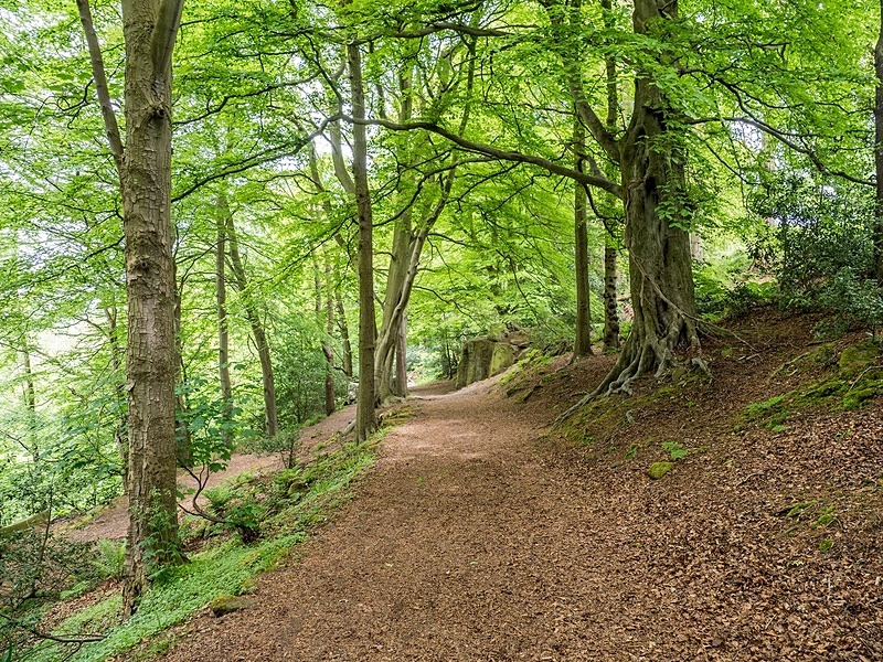  - Photographic Walks in North Yorkshire 2018