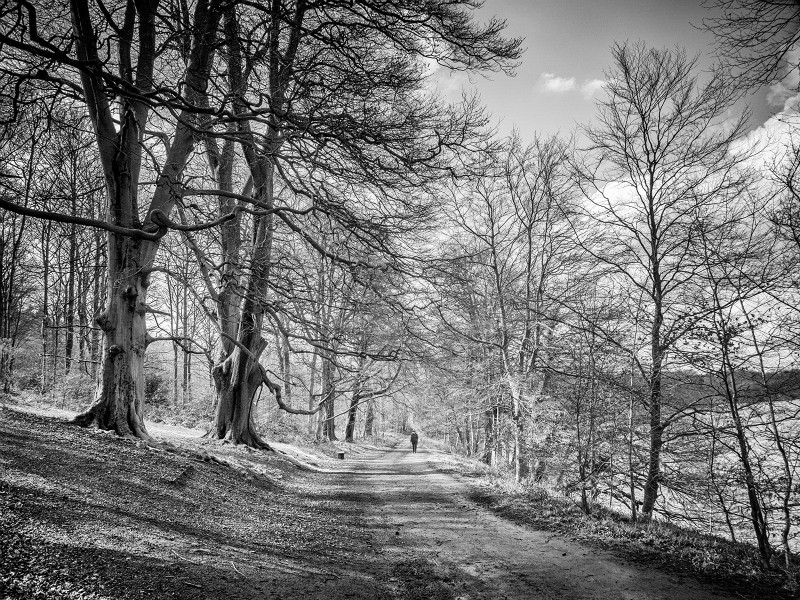  - New Photographic Walks 2017