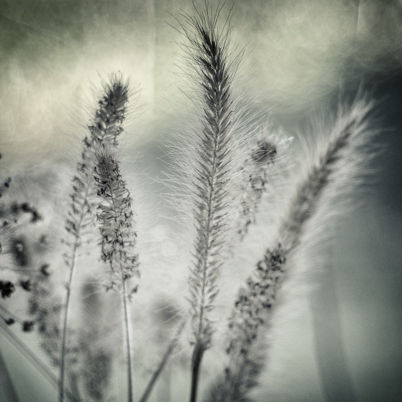  - Quiet - Fine Art Meditative Photography