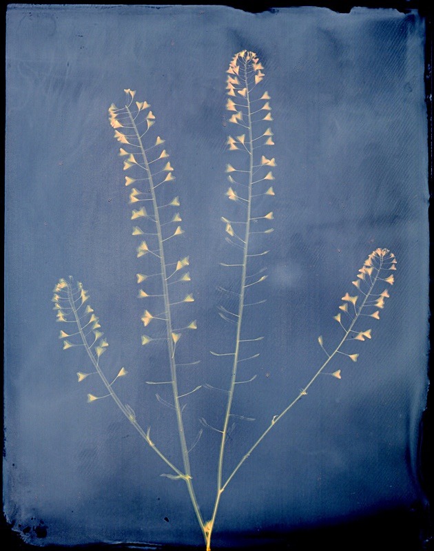 - Last Chance to See - Lumen; the Fragility of Nature
