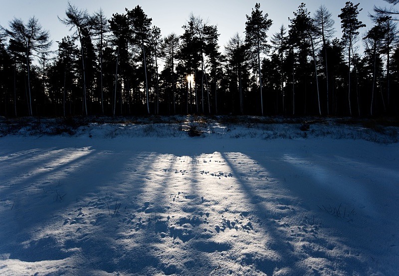  - Beauty of Light 1: Landscape