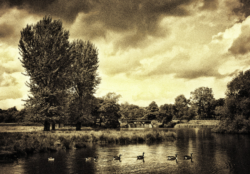  - Photographic Walks in North Yorkshire