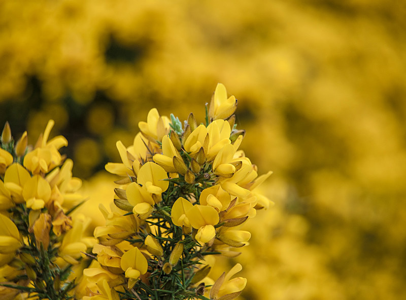  - Photographic Walks in North Yorkshire